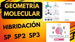 La mejor clase sobre Hibridación SP SP2 SP3  geometría molecular enlaces sigma y pi [upl. by Enomar441]