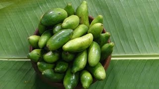 దోండకాయ పచ్చడి ఎలా చేయాలో మీకు తెలుసా  Ivy Gourd Pickle  TRADITIONAL FOODS  Dondakaya pachadi [upl. by Collum169]