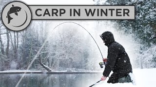 CATCH MORE CARP in WINTER with these 5 tips [upl. by Ecirp703]