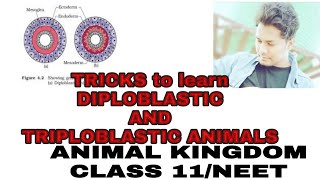 TRICKS to learn DIPLOBLASTIC and TRIPLOBLASTIC ANIMALSANIMAL KINGDOMCLASS 11NEET [upl. by Lerak474]