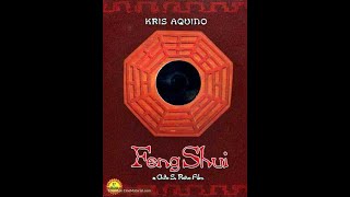 Feng Shui 2004 Movie Review [upl. by Acinaj]