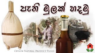 පැනි මුල  Caryota urens jaggery  kithul pani mula making කොලපතකින් පැනිමුලක්  කිතුල් පැනි හකුරු [upl. by Gnivre]