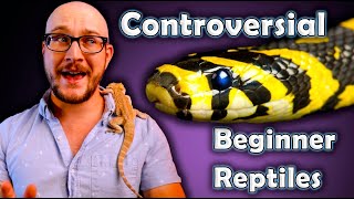 Top 5 Beginner Reptiles YOU Have Never Heard Of [upl. by Osterhus]