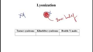 USMLE ACE Video 35 Lyonization [upl. by Lezned373]