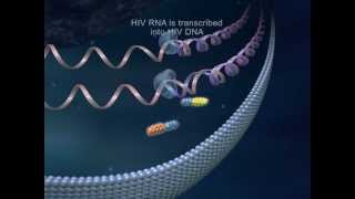 Truvada HIV Drug Therapy  Medical Animation by Watermark [upl. by Haras179]