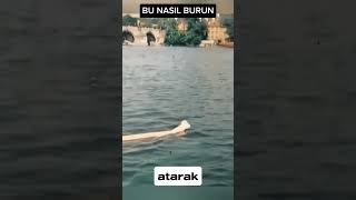 BU NASIL BURUN [upl. by Joela875]