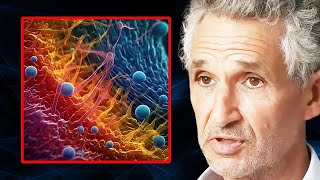 5 cosas que DESTRUYEN tu microbioma  Tim Spector [upl. by Nahsez]