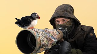 3 Months Of Wildlife Photography In Spring [upl. by Nylarej538]