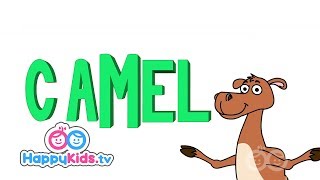 Camel  Learning Songs Collection For Kids And Children  Happy Kids  Jungle Beats [upl. by Anicul471]