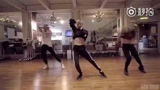 Britney Spears  Toxic Choreo  Shine 光光 Spy Family [upl. by Garrott]