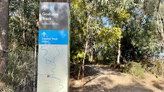 Trail run hill repeats Stephens Mountain [upl. by Marsh296]