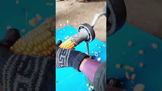 Hand corn threshing machine [upl. by Natalee]