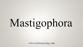 How To Say Mastigophora [upl. by Sirtemed]