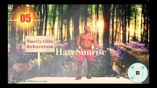 quotHazy Sunshinequot  Dynamic Warm Up Circuit [upl. by Docila509]