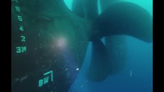 Tanker vessel underwater inspection by divers [upl. by Ayenat]