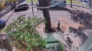 Illegal vehicle dump in front of a children’s school in West Berkeley CA [upl. by Dlorad]