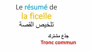 le résumé de la ficelletronc commun [upl. by Sonitnatsnoc]