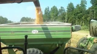 Corn harvest 2011 Petty Farms case IH 2588 [upl. by Alemrac]