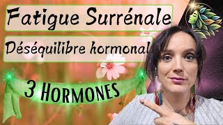 Fatigue Surrénalienne  Le Déséquilibre Hormonal Qui Affecte Votre Énergie et Comment y Remédier [upl. by Wohlen947]