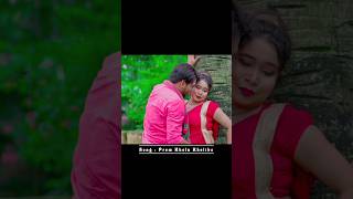 Sohite Parina Bondhu viralvideo shorts dance shortsvideo [upl. by Heida]