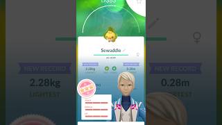 Catching HUNDO sewaddle from community day gaming pokemongo shorts hunting shinypokemon [upl. by Gussman]