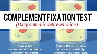 Complement Fixation Test  Immunology  KaizmaExamTime [upl. by Ajroj413]