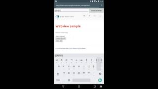 Android Developer Android Webview javascript interface sample [upl. by Alvar10]