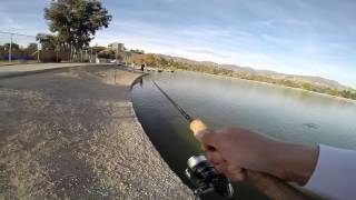 Hansen Dam Lake Fishing [upl. by Marcella]