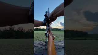 BSA Monarch 3006 Long Range 300yd Shot scope asmr shortvideo sniper shorts [upl. by Teague]