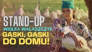 Wiolka Walaszczyk I Gąski gąski do domu fragment I Standup I 2024 [upl. by Bond]