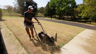 Full Lawn Renovation From START To FINISH  Scalp Dethach Aeration and Topdress [upl. by Nnaaihtnyc879]