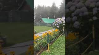 Kalatop sanctuary Forest Rest House GardenMust visit place in Dalhousie [upl. by Layney]