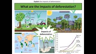 Year 10 Lesson 7 Impacts of deforestation in Malaysia Video Instructions [upl. by Charisse]