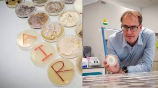 Bacteria and fungi show a precise daily rhythm in tropical air finds NTU Singapore study [upl. by Ihana54]