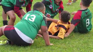 Layton rugby game THE INCREDIBLE HAWKS [upl. by Eikcim625]