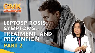 Leptospirosis Symptoms Treatment and Prevention Part 2  Usapang Pangkalusugan [upl. by Tolecnal]