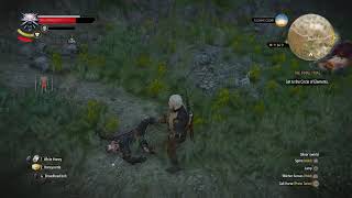 Lambert Death scene RARE witcher 3 [upl. by Belvia812]