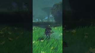 BOTW Zelda Hunting Thunderwing Butterfly Electric Darner Thundra Plateau [upl. by Dion130]