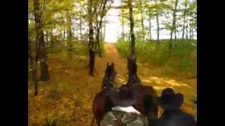 Horse carriage ride in my family village [upl. by Lada889]