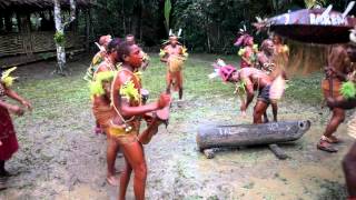 Papua New Guinea Sing Sing [upl. by Heurlin]