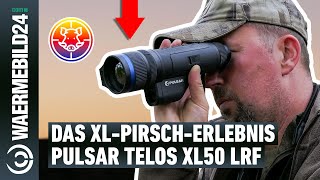 Das XLPirschErlebnis mit dem Pulsar Telos XL50 LRF WärmebildHandgerät [upl. by Aknaib]