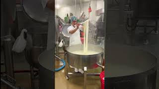 Cheese Making 🫶🧀 cheesemaking ricotta food bocconcini cheese shortsviral cheeseproduction [upl. by At]