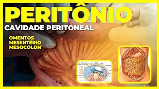 PERITÔNIO cavidade peritoneal omento mesentério e mesocolon [upl. by Arrat728]