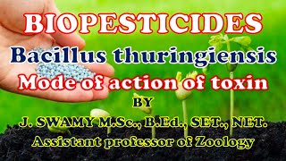 BIOPESTICIDES BACILLUS THURINGIENSIS [upl. by Bivins]