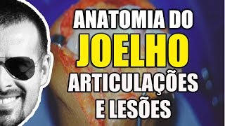 Dor no Joelho Anatomia Articulações e Lesões do LCA e Meniscos  Anatomia Humana  VíideoAula 101 [upl. by Hurty]