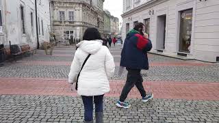 Timisoara Romania  City Walking Tour [upl. by Idna]