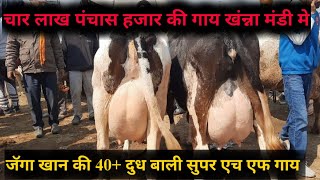 jagga khan come in Khanna mandi to sell cows 🐄 Top quality cow for sale in Khanna mandi jbs video [upl. by Aicinoid]