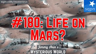 Life on Mars Martian Life Alien Life Exobiology  Jimmy Akins Mysterious World [upl. by Aehtrod597]