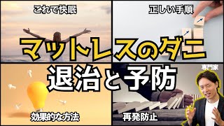 【マットレスのダニ対策】退治から二度と発生させない方法まで [upl. by Lyda132]