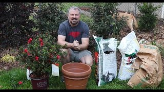 How to Container Plant Your Reblooming Encore Azalea [upl. by Aber138]